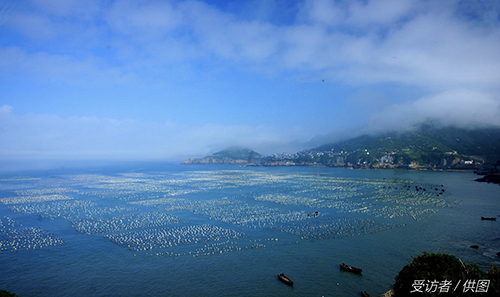 用科技深耕蓝海