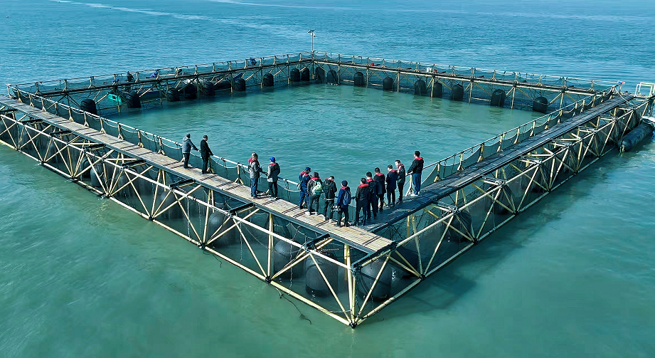 1756718804890152.png 11.png