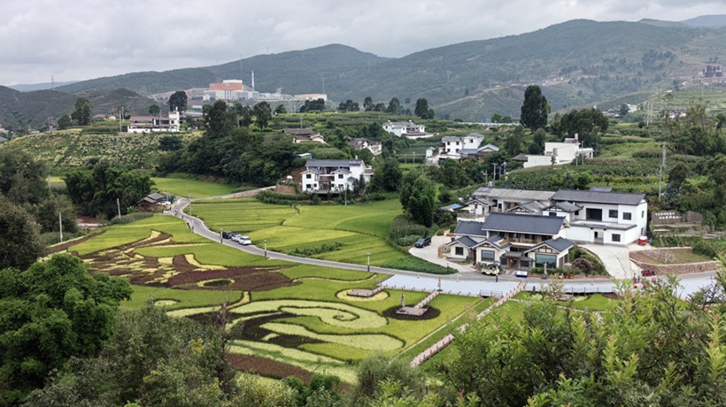 行进中国丨“陌上姜州”：石榴红了，日子火了