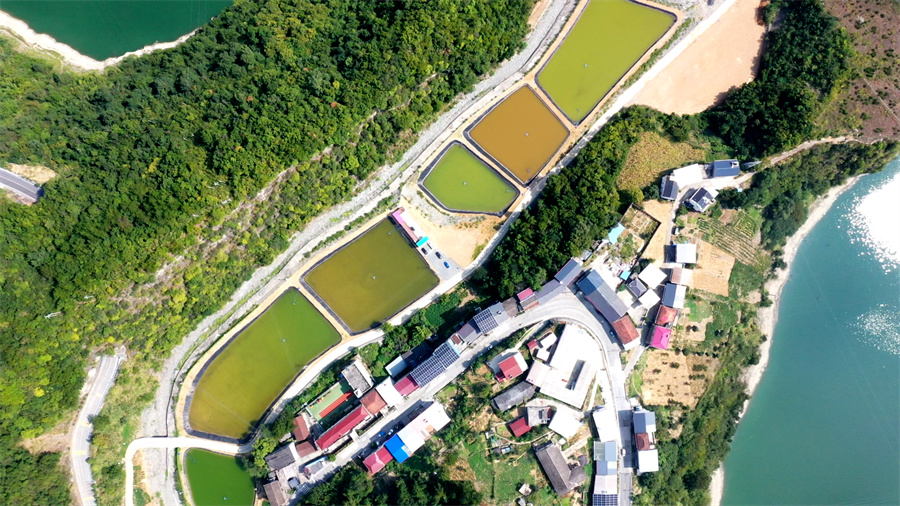 图为安康宁远居农旅建设的竹节溪村生态水产养殖基地.jpg