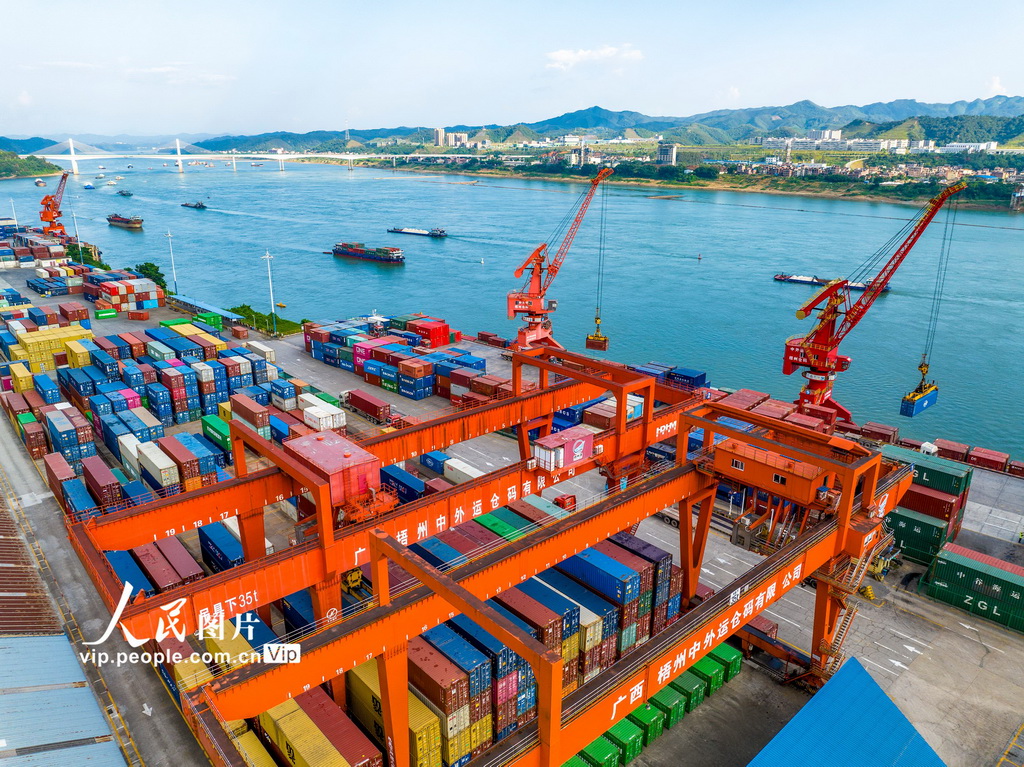 广西梧州：内河港口作业忙