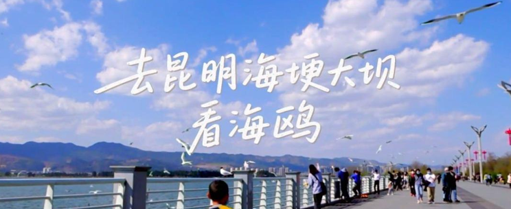 wechat_2025-09-15_113314_918.png