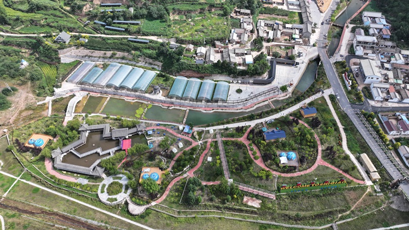 （庄浪县韩店镇石桥村 张沛杰 摄）.JPG