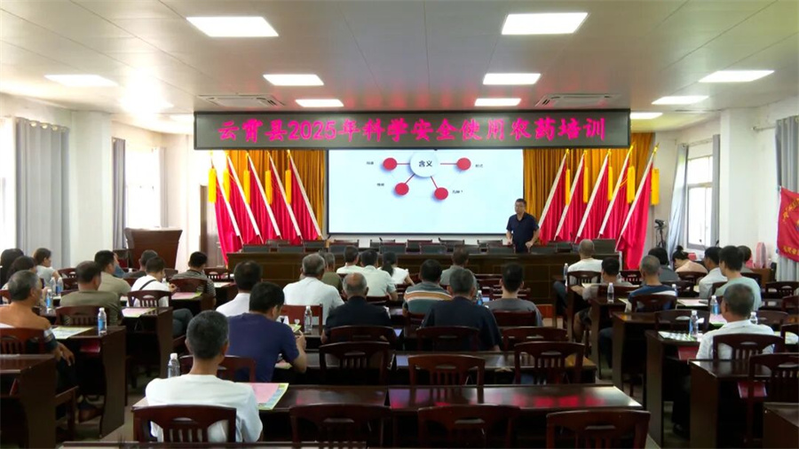 培训会现场.jpg