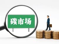 碳市场2.0，中国这样布局