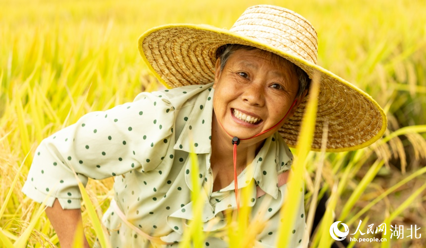 大余湾村民笑容满面,体验丰收的喜悦。人民网记者 郭婷婷摄