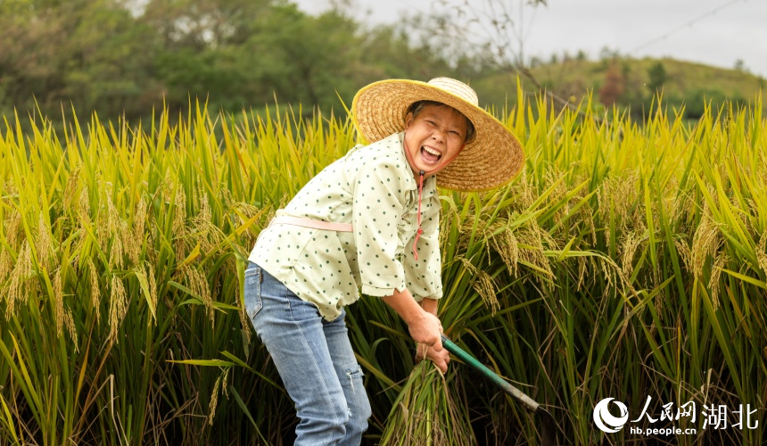 大余湾村民笑容满面,体验丰收的喜悦。人民网记者 郭婷婷摄