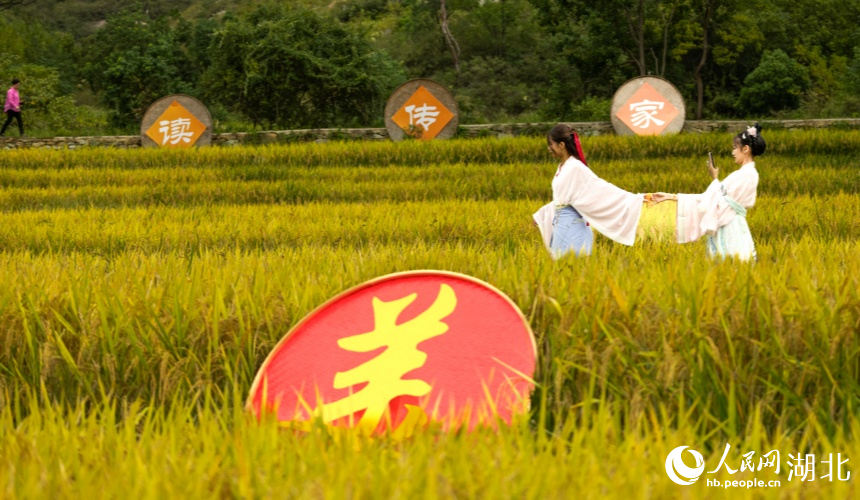 大余湾晒秋活动吸引大量汉服爱好者前往“打卡”。人民网记者 郭婷婷摄