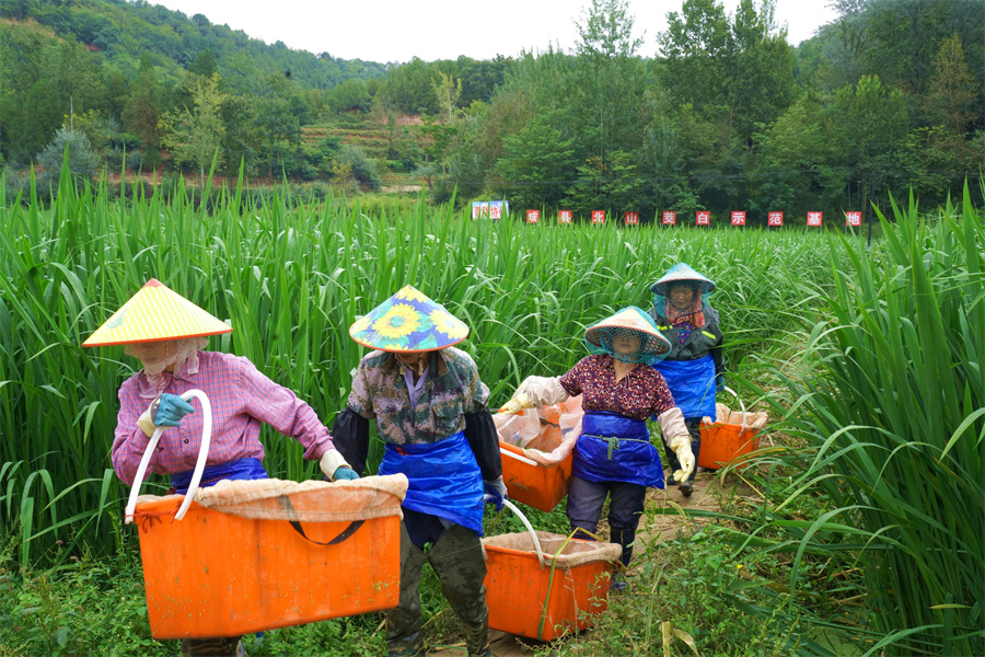 1758615780684776.jpg 图片2.jpg