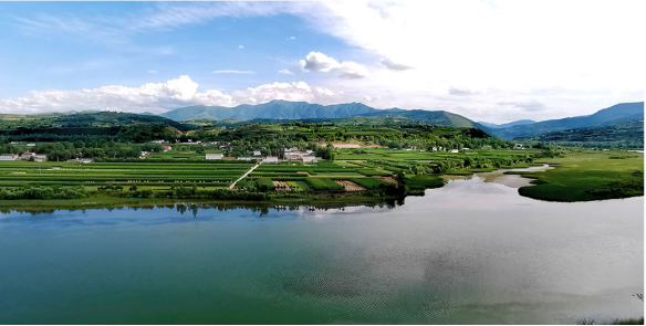 1758701809558977.png 洮河湿地公园南屏镇锁林段.png