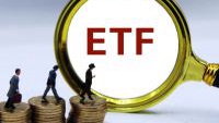 第二批科创债ETF已成机构“盘中餐”