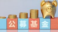 知名基金经理集中入场 公募参与定增热度再起
