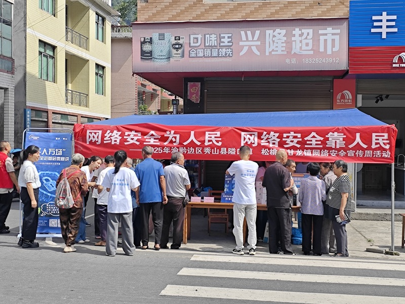 隘口镇·甘龙镇开展边区协作网络安全宣传活动.jpg