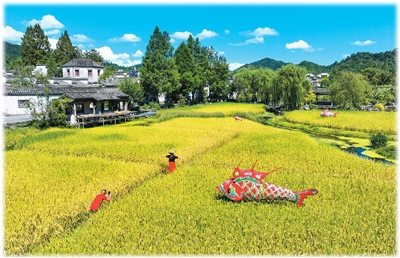 新玩法“拉满”体验感