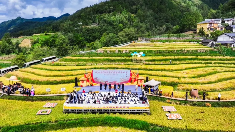 9月24日，重庆市城口县2025年中国农民丰收节在高观镇双竹村何家塝稻田开幕。唐小江 摄.jpg