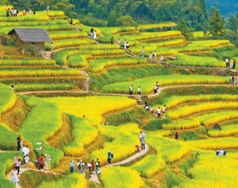 微信截图_20251003085433.png
