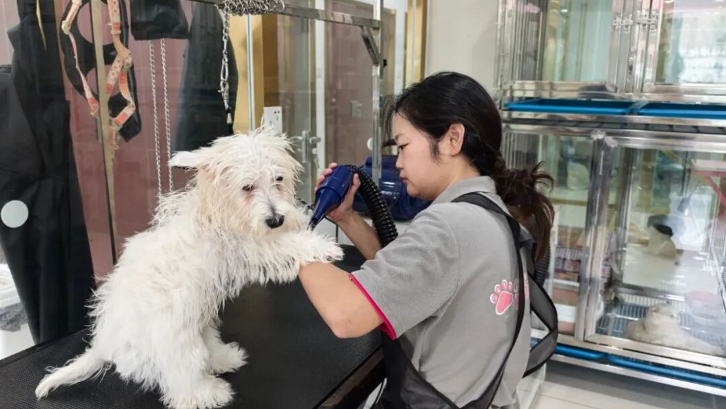 “爆单”！洗不完，根本洗不完