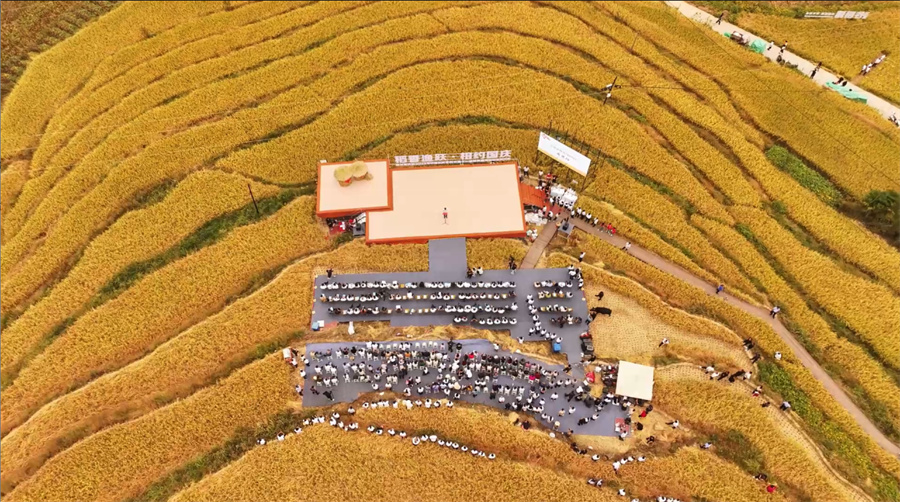 文彩村稻旅融合示范区.jpg