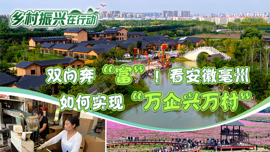 乡村振兴在行动｜双向奔“富”！看安徽亳州如何实现“万企兴万村”