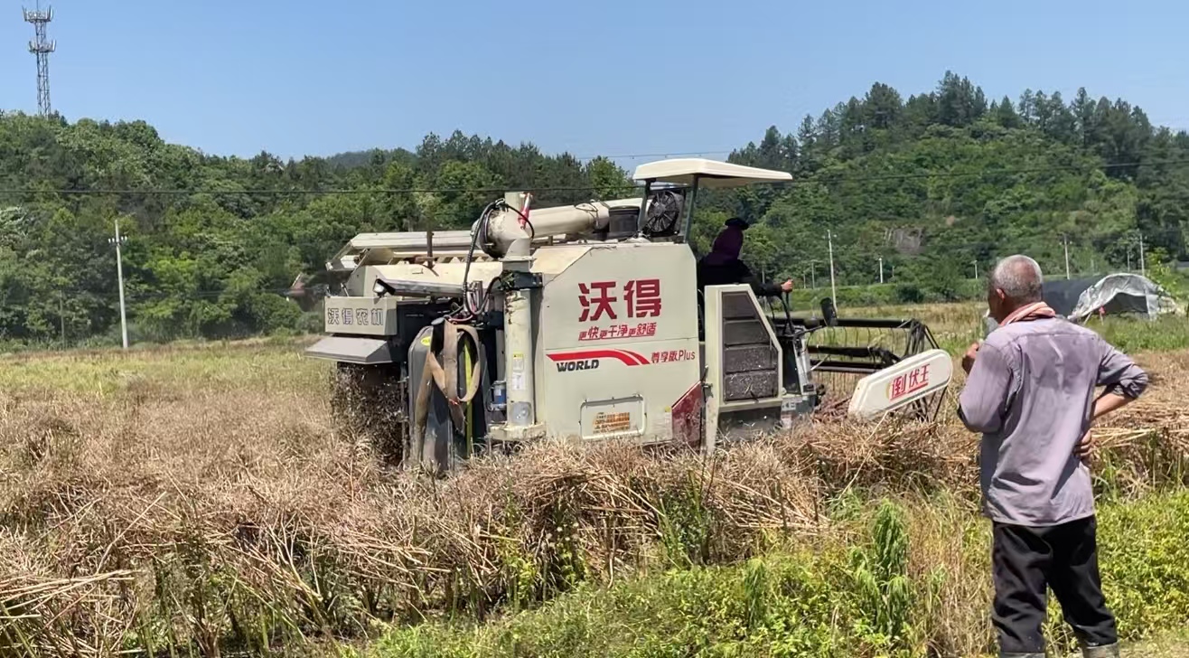 农机人工齐上阵（拍摄：毛顺标）.jpg