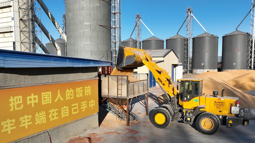 端牢中国饭碗 共护大国粮仓——写在第45个世界粮食日到来之际