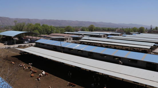 1761033857775293.png 洮润牧业科技有限责任公司,赵小池摄.png