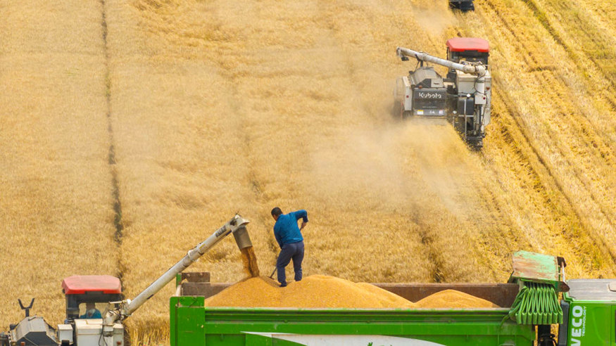 镜观中国｜良田舒卷！夯牢中国饭碗新底气