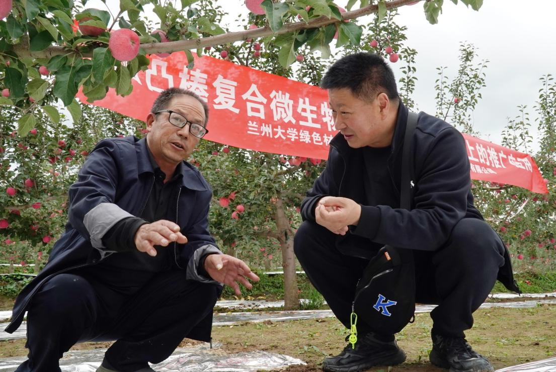 1761117400396768.png 图片2.png