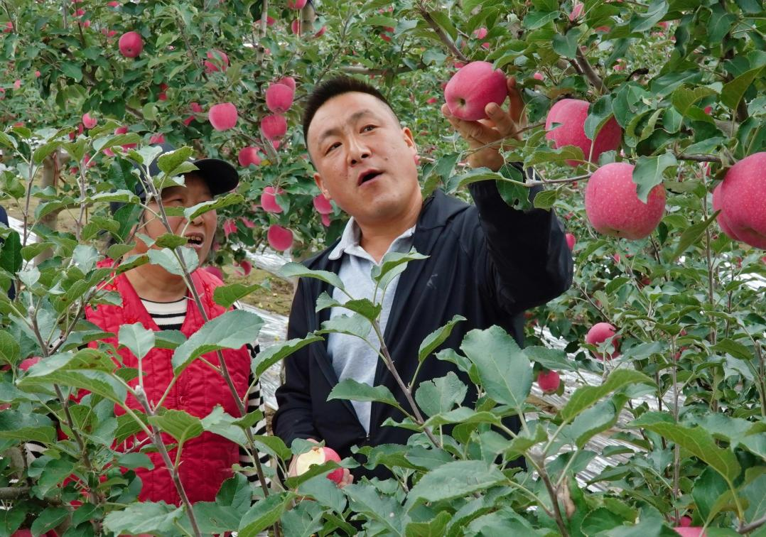 1761117406136732.png 图片3.png