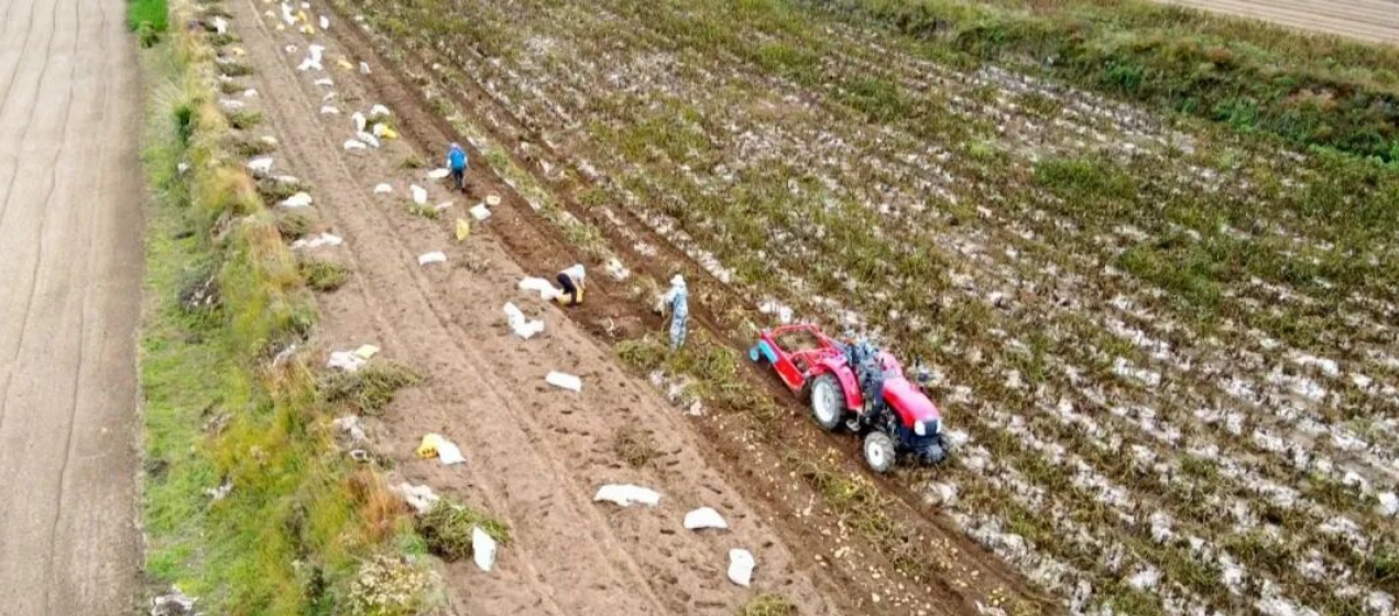 1761200498893656.png 照片2.png