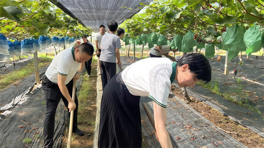 1761207060648268.jpg 图片2.jpg