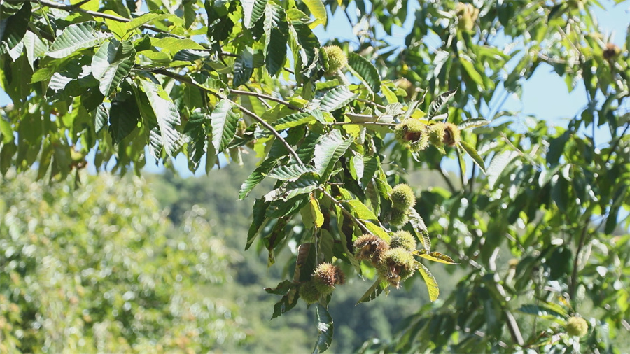 1761209721105139.jpg 1.jpg