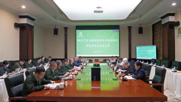 1761287329433620.png 11.png