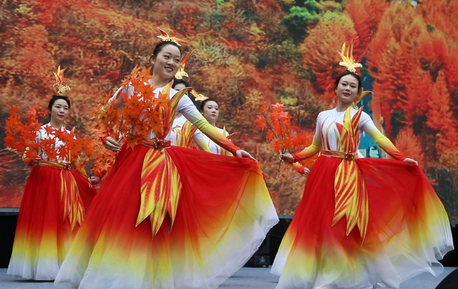 1761297246499261.png 11.png