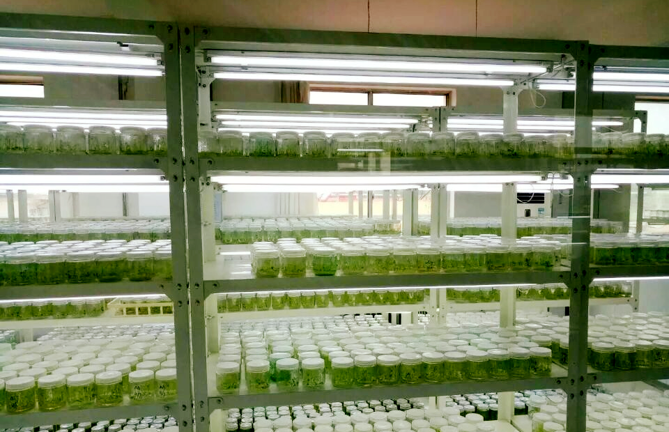 1761297357315855.png 照片2.png