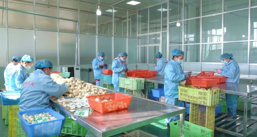 1761297364592234.jpg 照片3.jpg