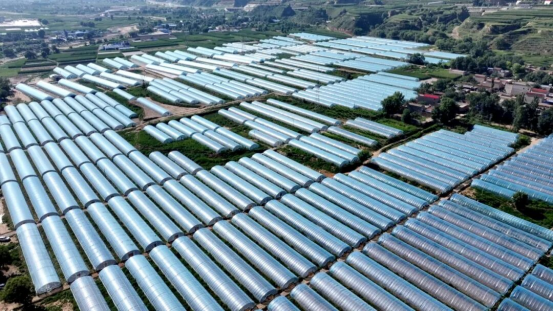 1761297471382968.png 照片1.png