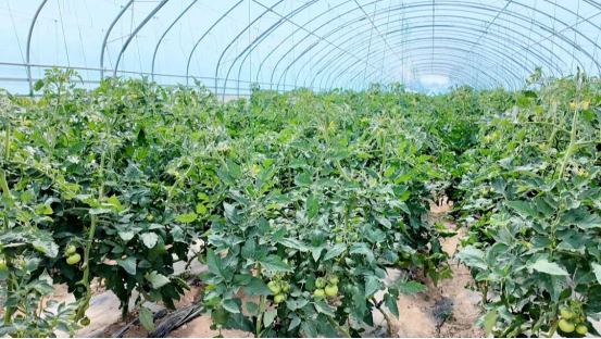 1761297480225674.png 照片2.png