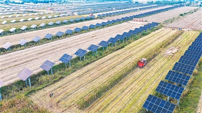 农业经济形势稳中向好（锐财经）