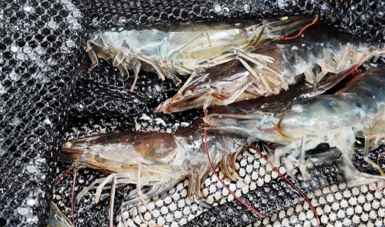 1761547580446115.png 照片1.png