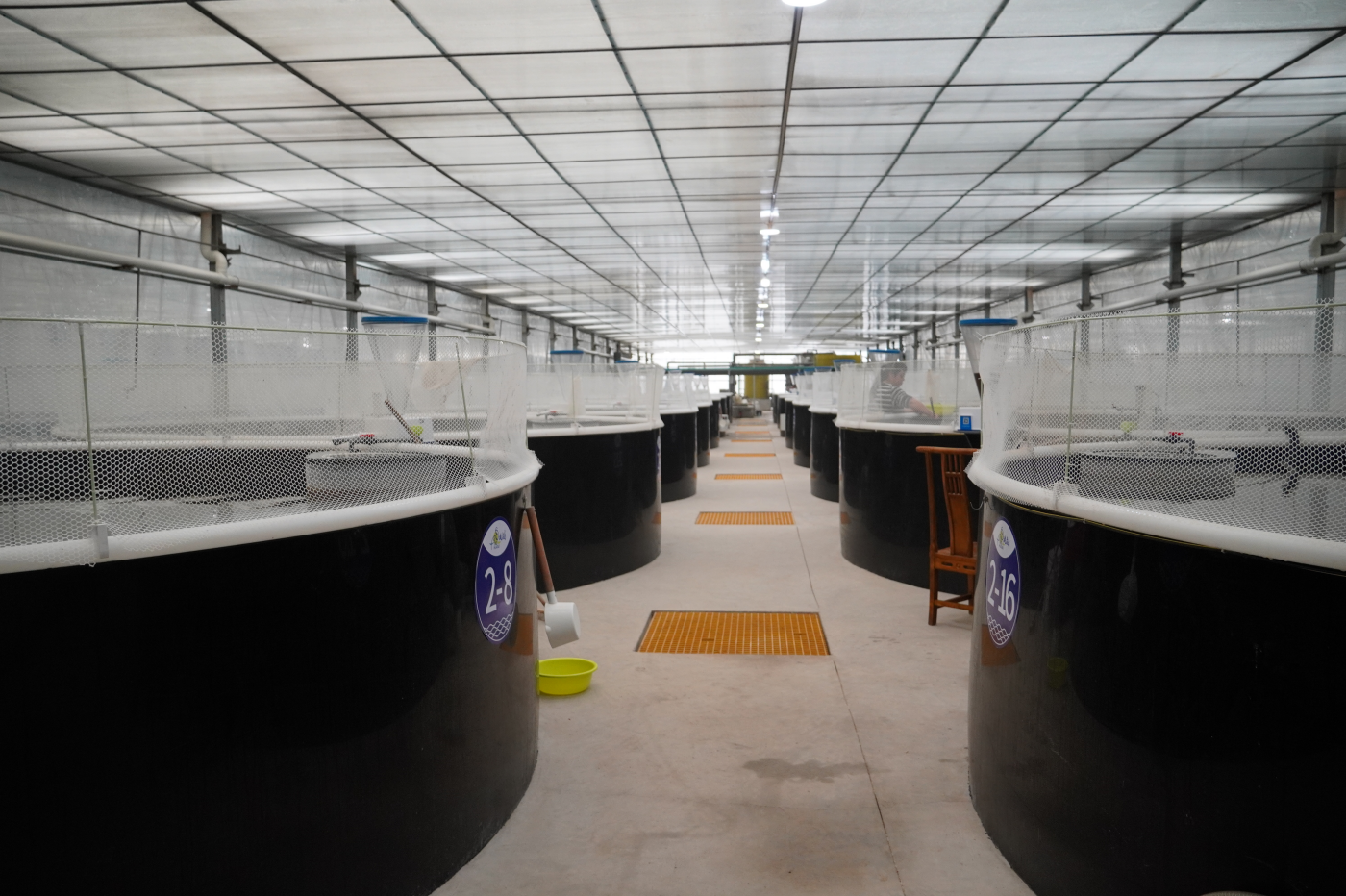 1761547585982212.png 照片2.png