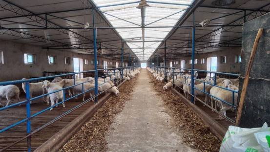 1761547592882011.png 照片3.png