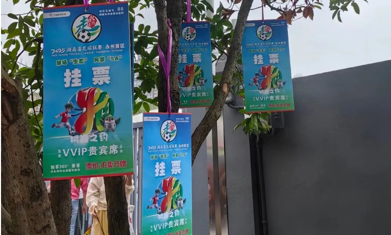 树上都挂满了观众！