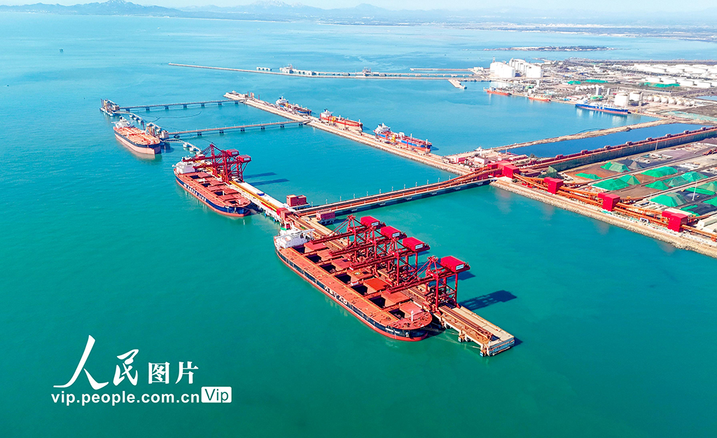 全国首个40万吨干散货数智码头在山东港口青岛港投产【6】
