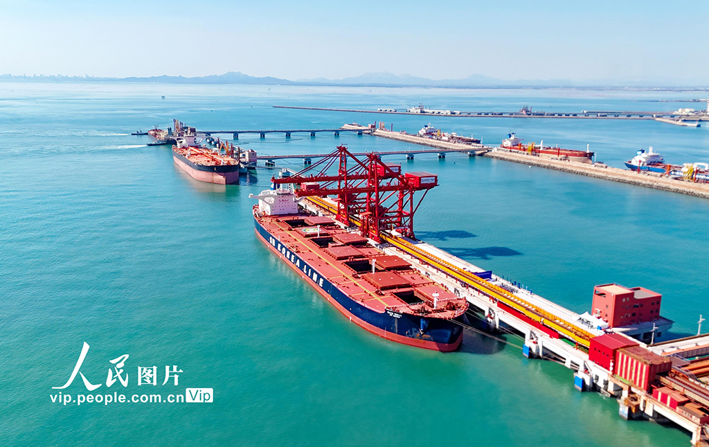 全国首个40万吨干散货数智码头在山东港口青岛港投产【7】