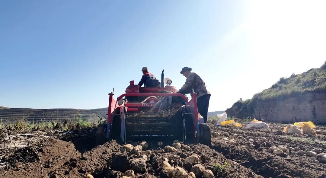 1761632616865517.jpg 照片2.jpg