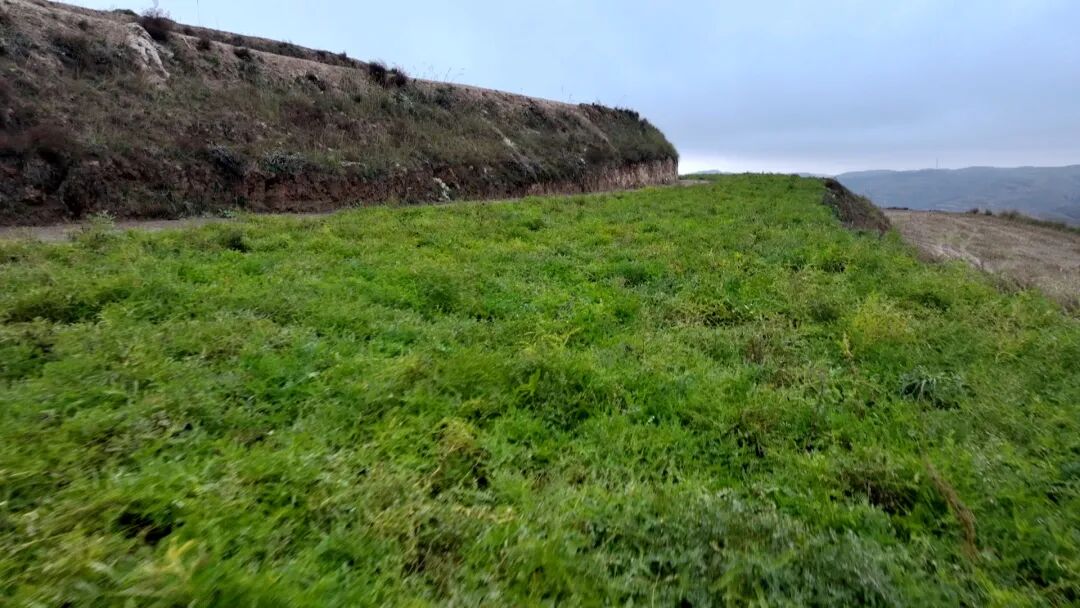 1761635744481539.jpg 照片3.jpg