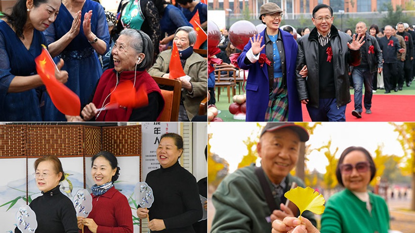 我家的“宝贝”