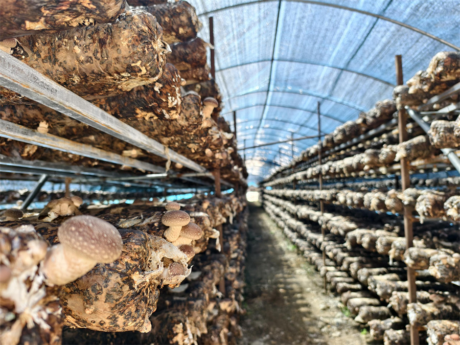 1761717191291640.jpg 7c9ca5b3-9fcf-4052-b9dd-d46b5dc043e5.jpg