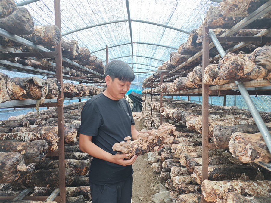 1761717198679311.jpg 95827c60-d3f6-4ed0-b82f-6d47399068b5.jpg